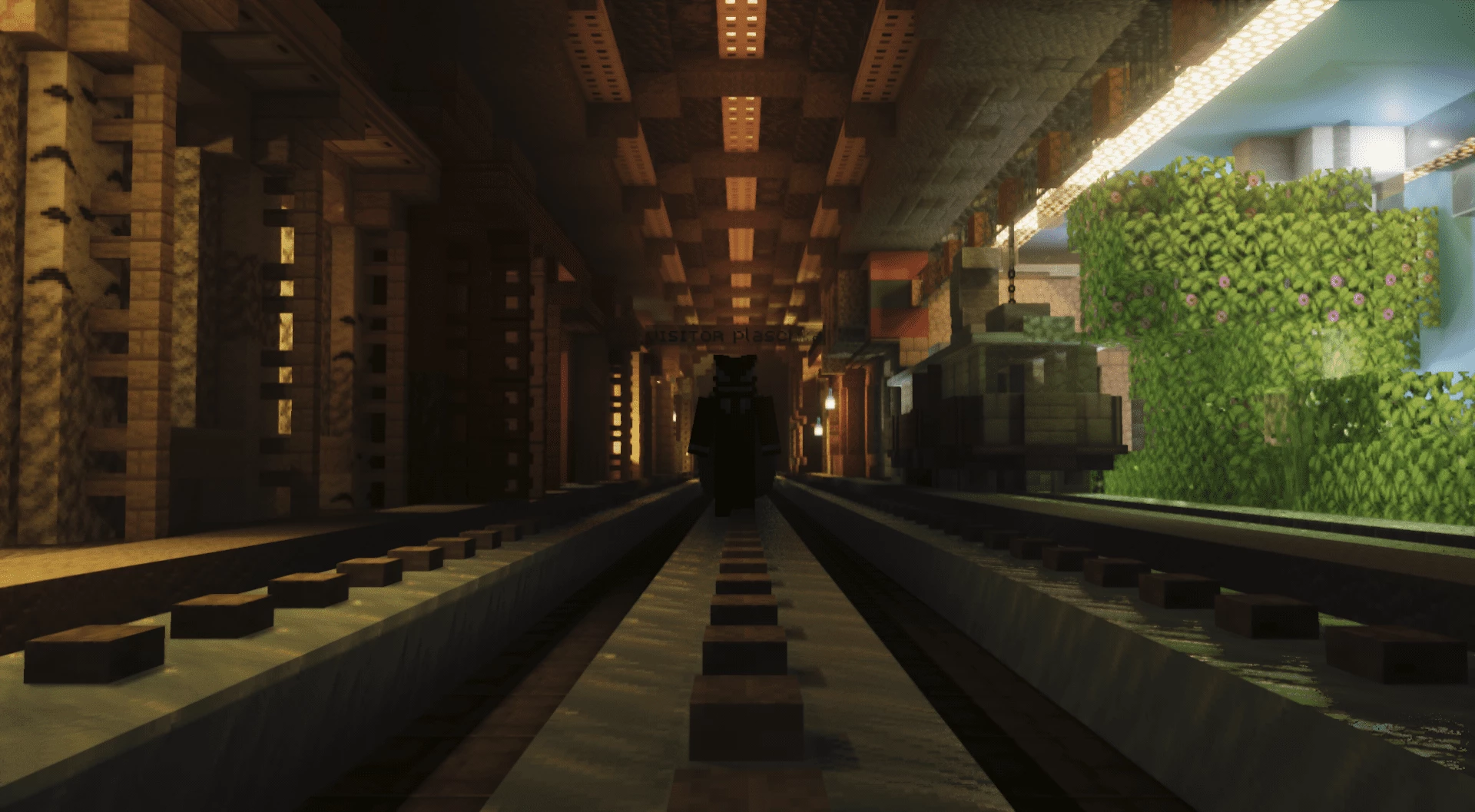 Скриншот сервера ZeroWorlds5