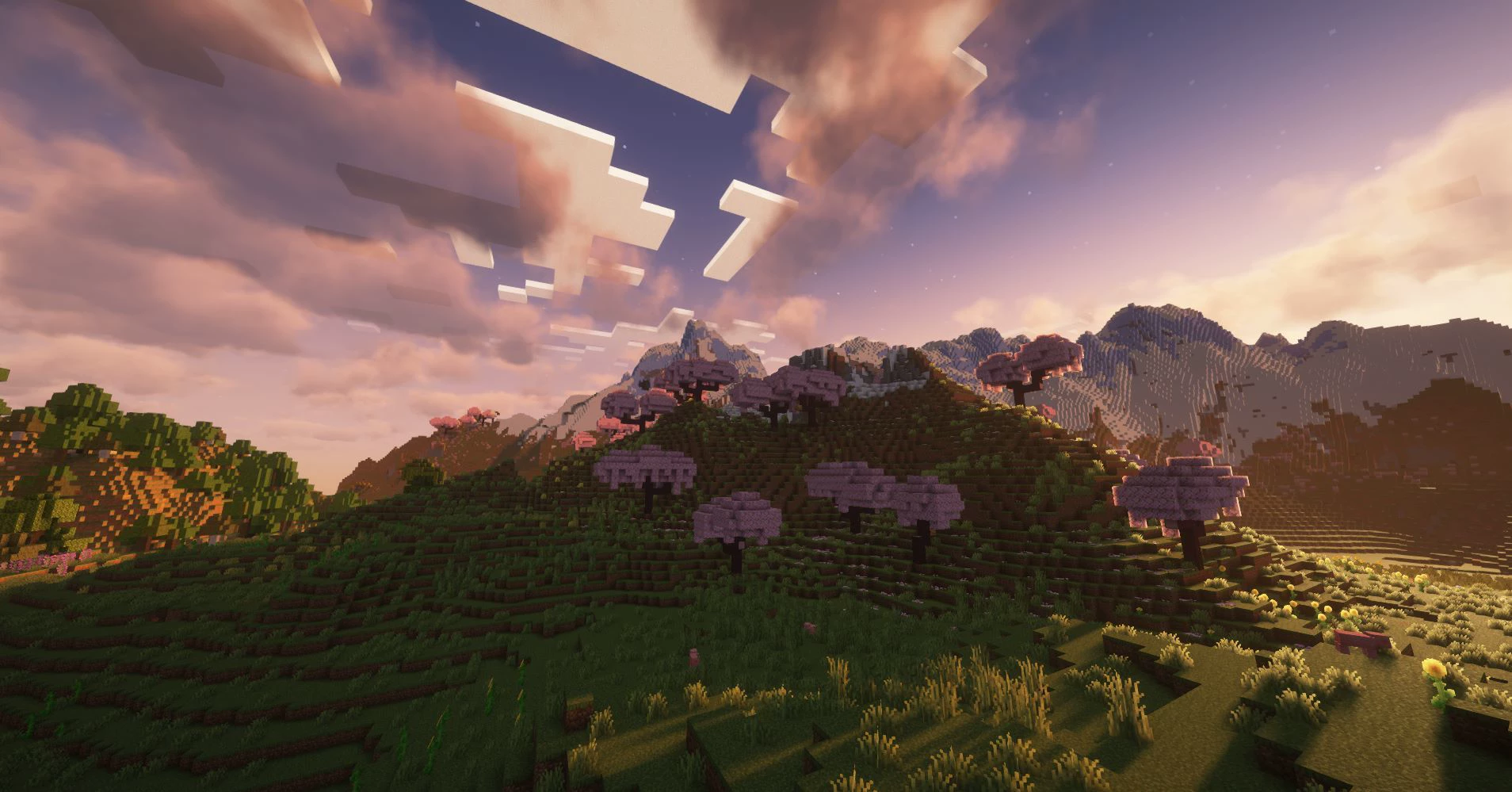 Скриншот сервера AuraCraft